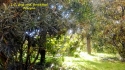 slideshow