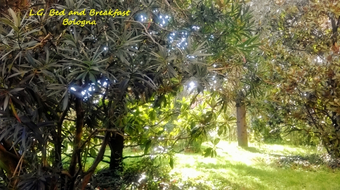  - Bed and Breakfast L. G.